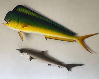 Tag and release Mahi Mahi and baby reef shark mount.