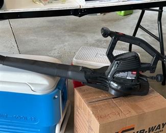 Electric leaf blower.