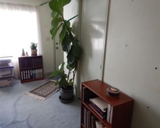 Large fig leaf and small teak bookshelves