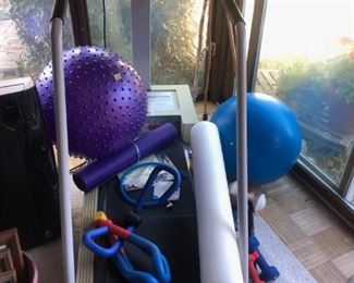Workout Equipment:  Treadmill, Weights, Foam Roller