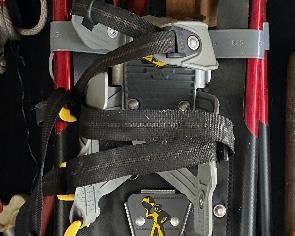 Newer snow shoes
