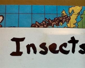 One kid’s insect project...
