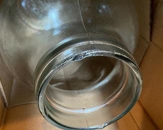 In a glass terrarium!