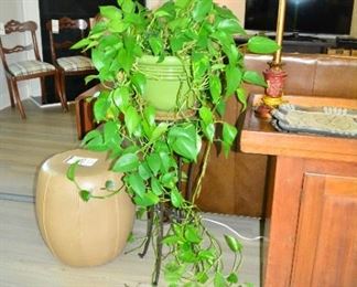 Family Room: Ballard Leather Stool, Plant and Stand