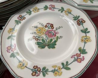 Beautiful Primrose china