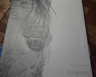 Wild Horses of Cumberland Island, coffee table book