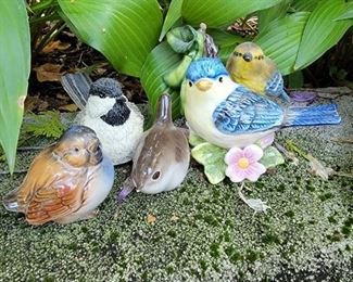 Okay girls, remember to show your best side!