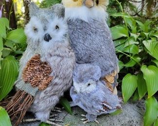 This is the Whoooootenannie family.