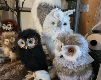 I told you there would be owls, right?