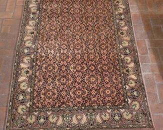 Kashmirian Oriental Area Rug