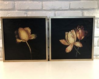 Pair Dramatic Black Matted Floral Pictures, Framed