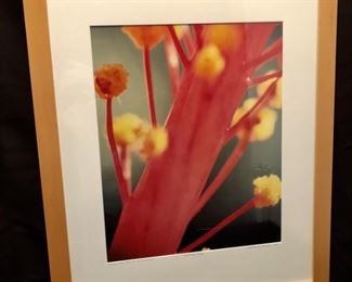 Sharon Sturgis. Hibiscus. Artist’s First Proof
Inscribed to BJ and Gloria and signed by artist. Photograph on Fuji Velvia Slide film. Printed archivally on Chibachrome. 19x15.5.  31x25 framed.