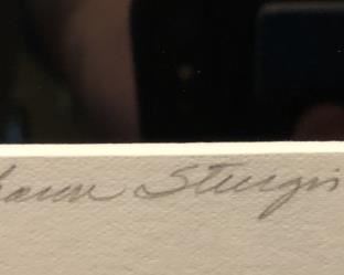 Sharon Sturgis. Iris. Signed by Artist.  Photograph on Fuji Velvia Slide film. Printed archivally on Chibachrome. 21x29.5.  42.5x33 framed.