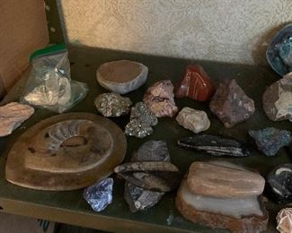 Rocks & Fossils