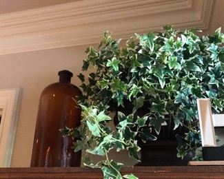 Large amber glass bottle and plants