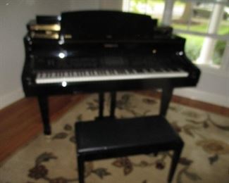 Digital Baby Grand Piano