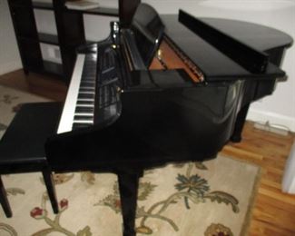 Kohler Digital Baby rand Piano