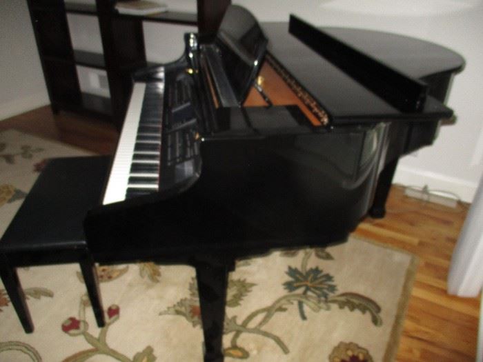 Kohler Digital Baby rand Piano