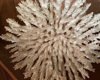 White Coral