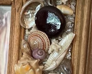Hand Crafted Mounted Seashell Wall Mirror