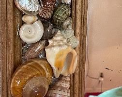 Hand Crafted Mounted Seashell Wall Mirror