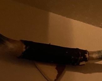 Wall Mount Bull Steer Cow Horns