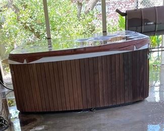 Jacuzzi/Spa Tub