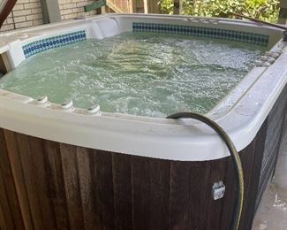 Jacuzzi/Spa Tub