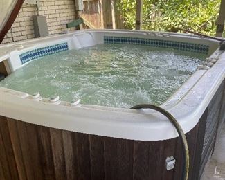 Jacuzzi/Spa Tub