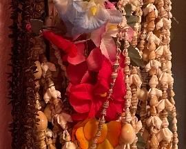 Assorted Seashells Necklaces 