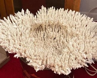 Extra Large White Coral with Branch, Vase