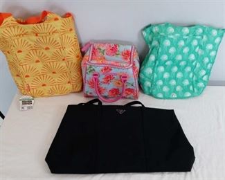 3 Cooler Pags 1 Purse