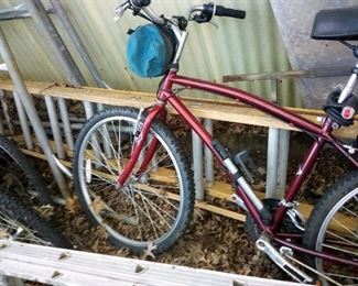 339. LARGE EXTENSION LADDER $70