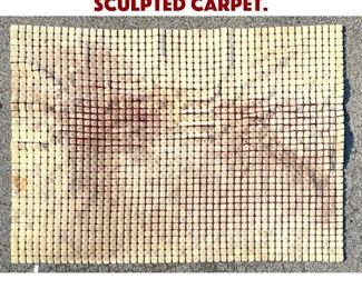 Lot 1143 12 x8 10 Edward Fields Sculpted Carpet. 