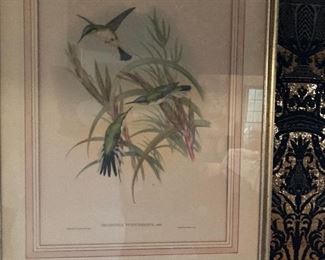 Vintage Print