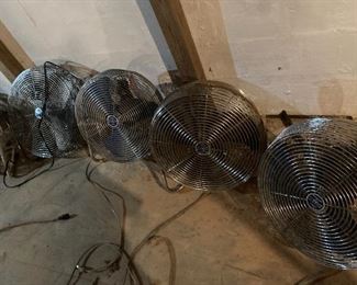 Fans about 20 