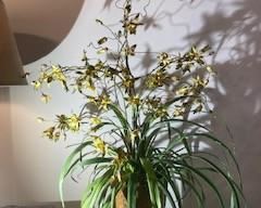 LARGE (APPROX. 37" HIGH) FAUX ORCHID ARRANGEMENT