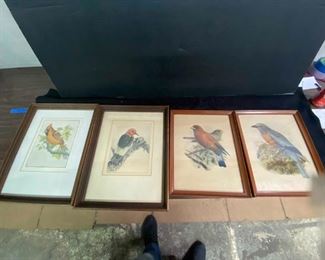 325Two Sets of Colorful Bird Etchings