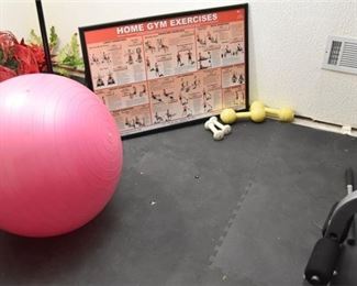 168. Group Lot Of Fitness Items