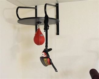 233. Speedbag With Wall Mount and Bag Gloves
