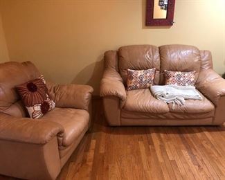 long view of chair and loveseat.