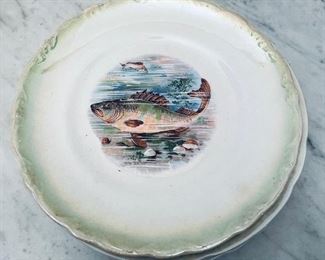Perfect fish motif plate set of 6  • 8across