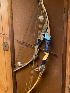 A couple of compound bows-several more