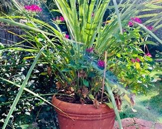 $60 - Terra cotta planter #4 of 4; 10" H x 12" diameter