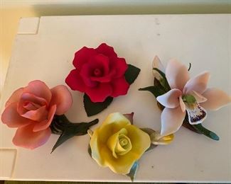 Capodimente/Napoleon