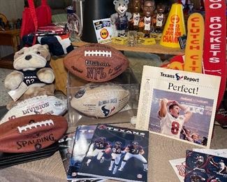 Houston Texans Inaugural Season Football, Wilson NFL Official Football, 2011 Houston Texans AFC South Division Champions Football, Houston Texans Blankets, Flags, Apron, Tumblers