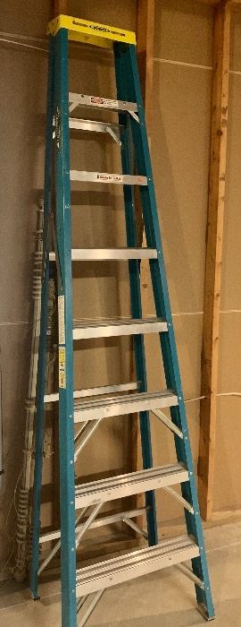 #48- 8ft Werner ladder- $60