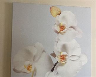 First Orchid picture $15
