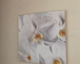 Second orchid picture $15