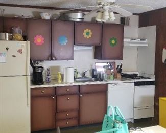 Funky kitchen cabinets